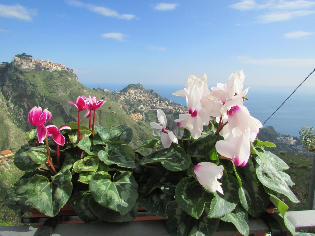 Casale Di Caterina Guest House Taormina Exterior photo